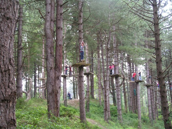 Plateforme d'arbo-escalade