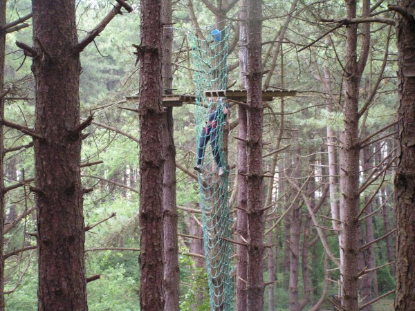 Saut dans un filet d'arbo-escalade