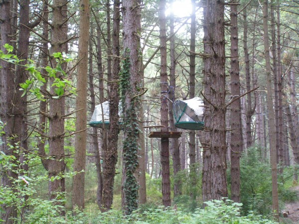 Passer une nuit sous tente dans les arbres