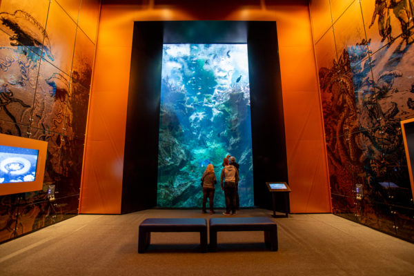 L'océan du futur (salon Jules Verne) à la Cité de la Mer