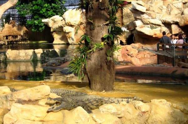 Vue générale - La ferme aux crocodiles