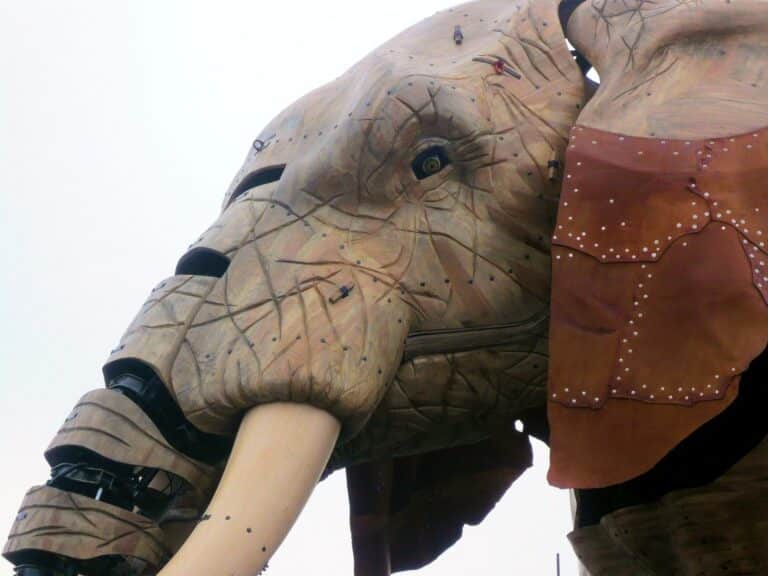 Dans les « nefs » des anciens chantiers navals de Nantes