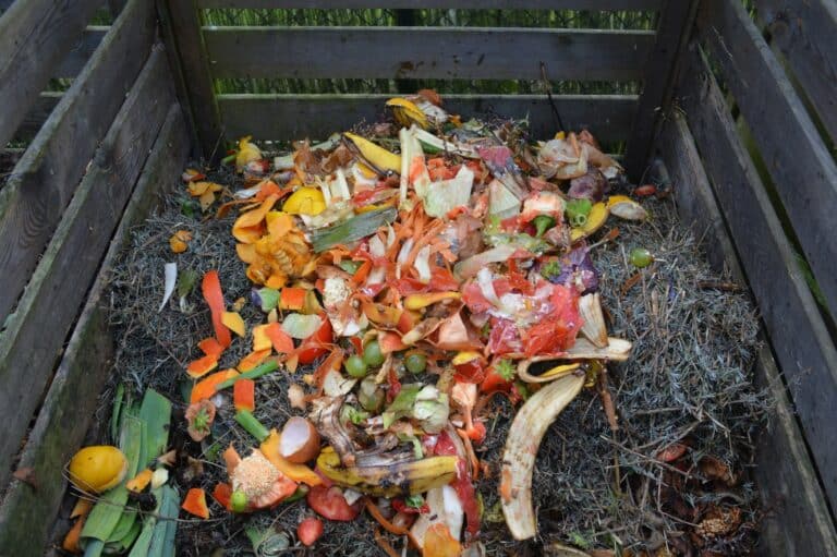 Le compostage facile, à faire soi-même