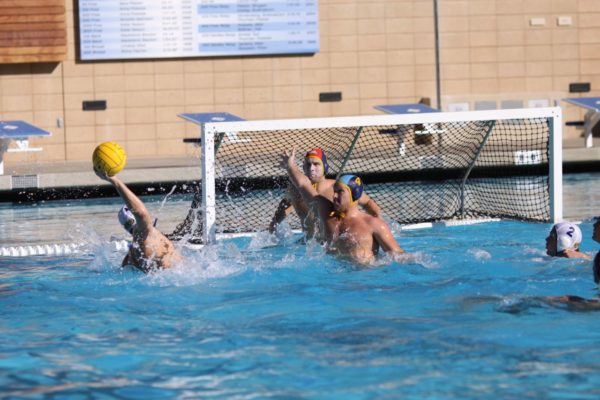 Le water-polo est un sport aquatique collectif