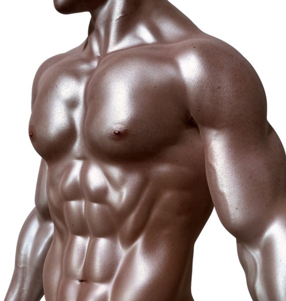 Le bodybuilding