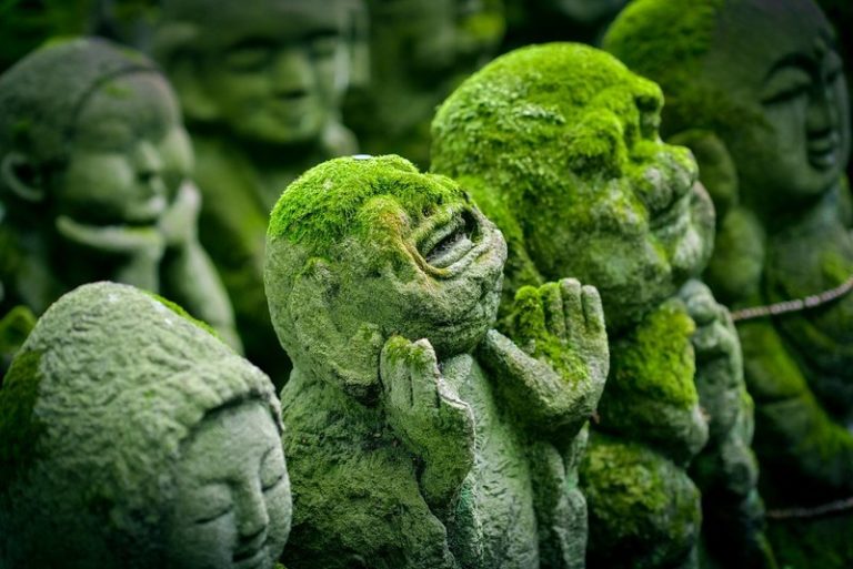 Vous aussi, devenez sculpteur