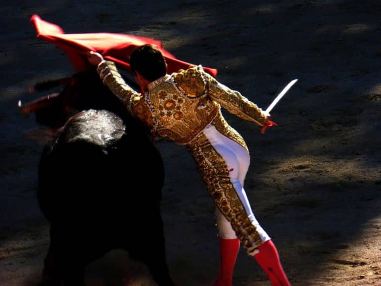La tauromachie, un art ancestral