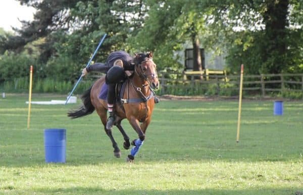 Généralités sur les pony games