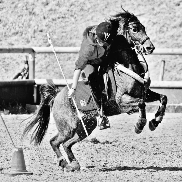 Le Pony-Games se joue en équipe, en paire ou en individuel