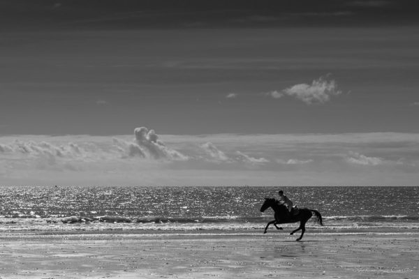 Caval'Océane, les sports équestres à la plage