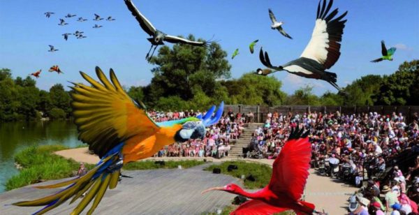 Un environnement dédié à la gent ailée dans le Parc des Oiseaux