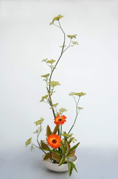 Tateru-Katachi - Copyright Ecole d'ikebana Ohara La Rochelle