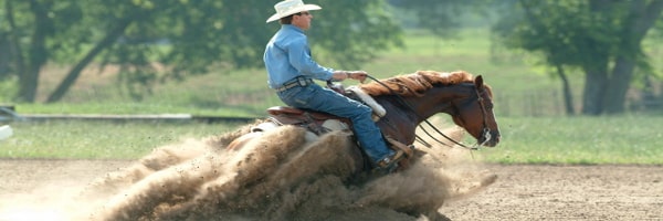 Le reining : équitation western