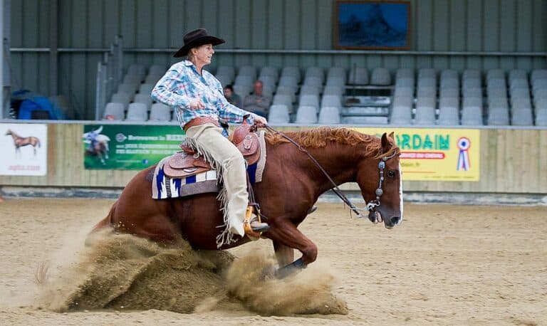 Le reining, un sport équestre de haut niveau