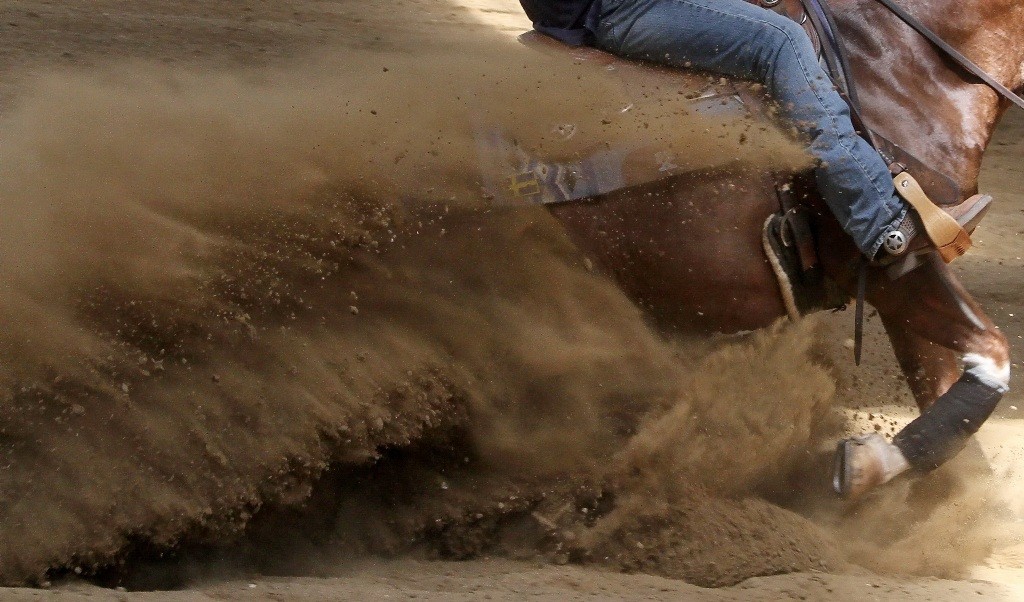 Cheval effectuant un sliding stop dans une épreuve de reining