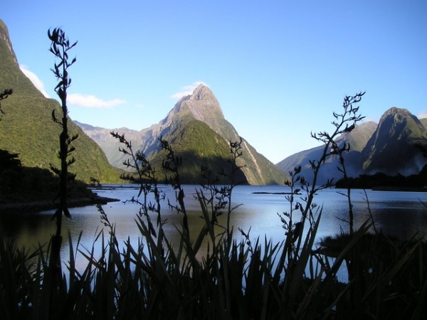 Fiordland