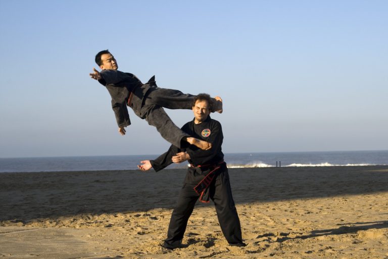 Force et souplesse, les vertus cardinales du Viet Vo Dao