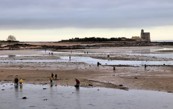 La pêche à pied de loisir