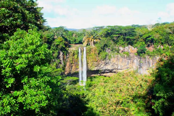 Parc national des gorges de Rivière Noire situé à l'île Maurice