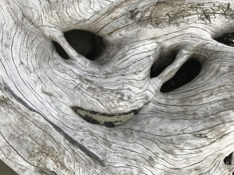 Décorations en bois flotté