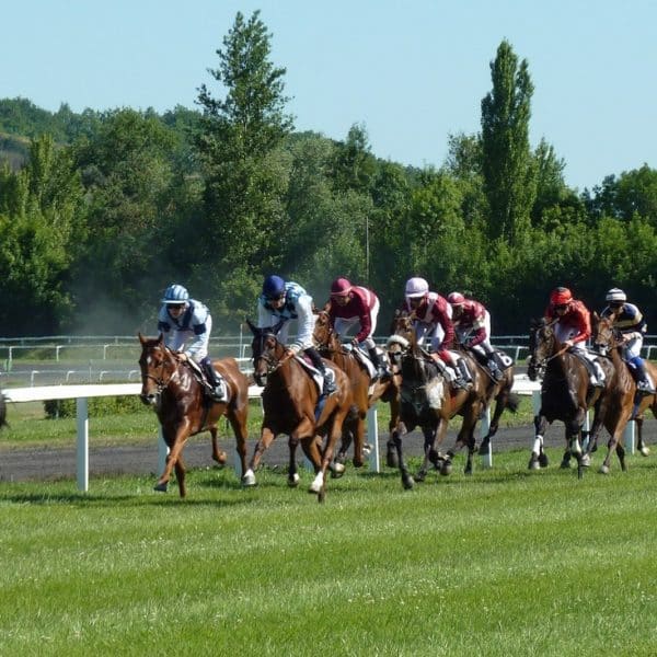 Course hippique au galop