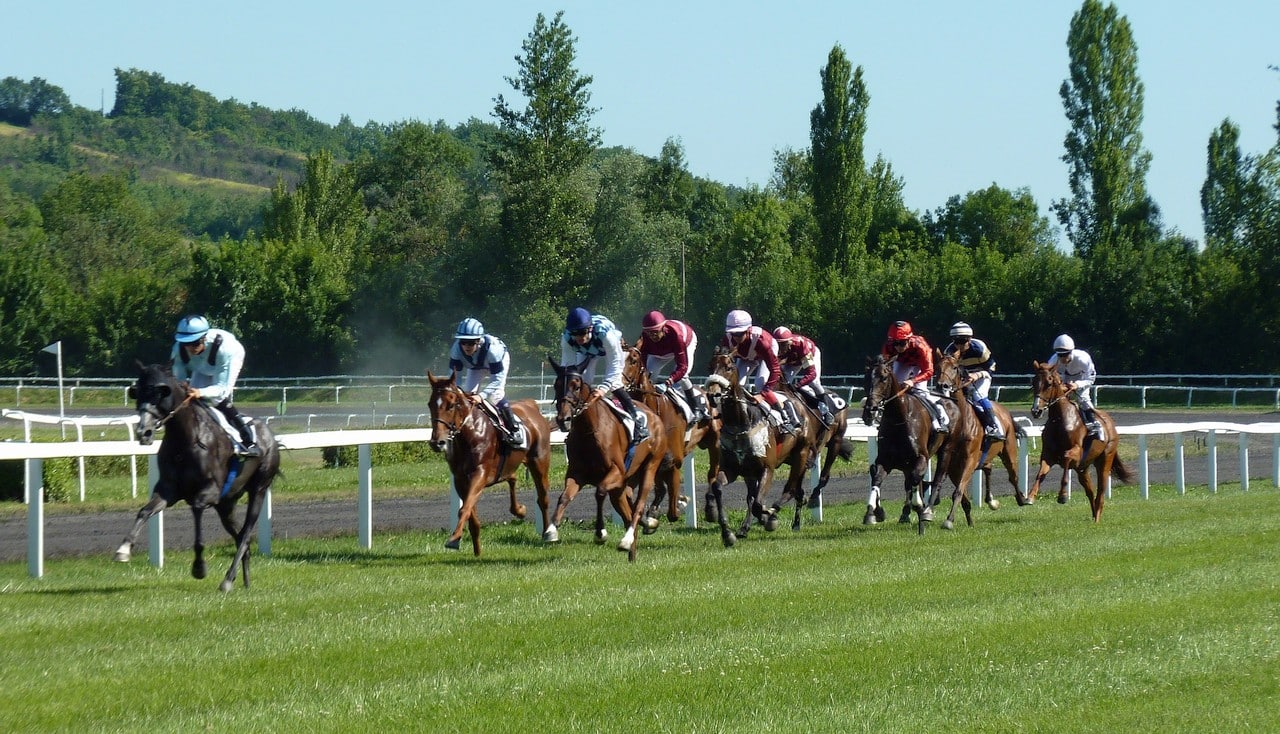 Course hippique au galop