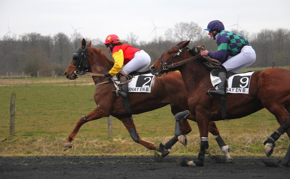 Course hippique au monté