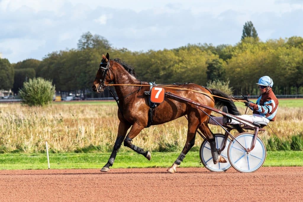 Course hippique au trot