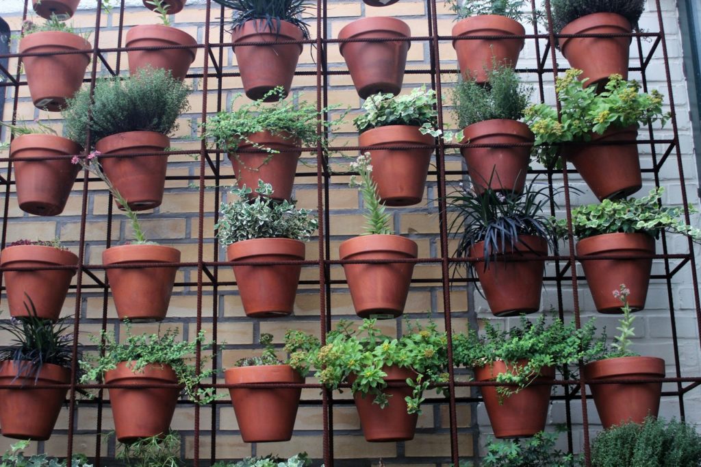 Multiples pots de fleurs contre un mur