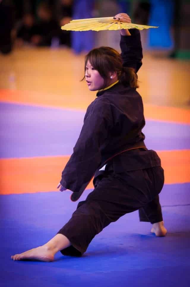 La grâce du Vovinam Viet Vo Dao