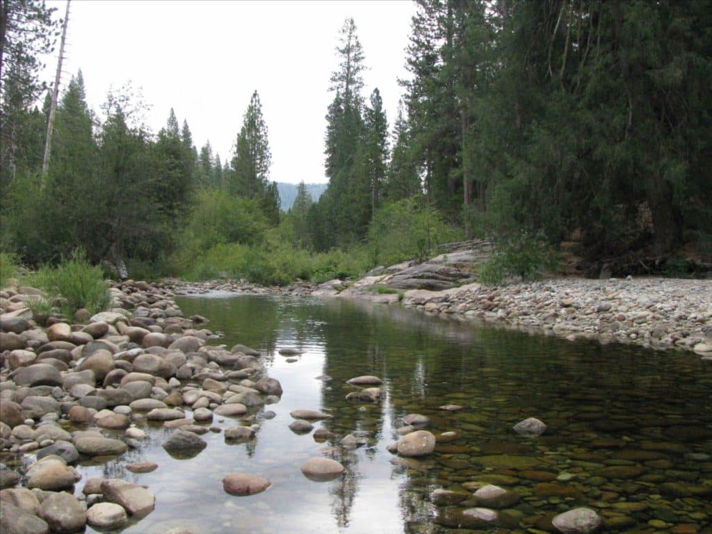 Cours d'eau la Merced dans le parc de Yosemite