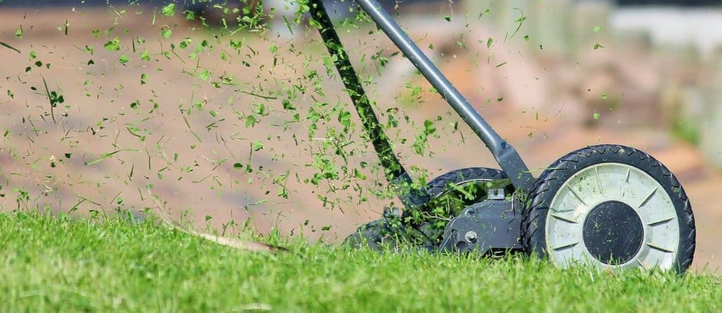 Tondre sa pelouse pour éliminer la mousse naturellement