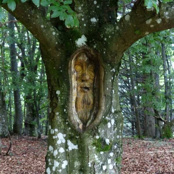 Sculpture sur un tronc d'arbre