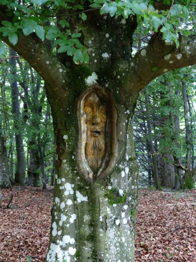 Sculpture sur un tronc d'arbre