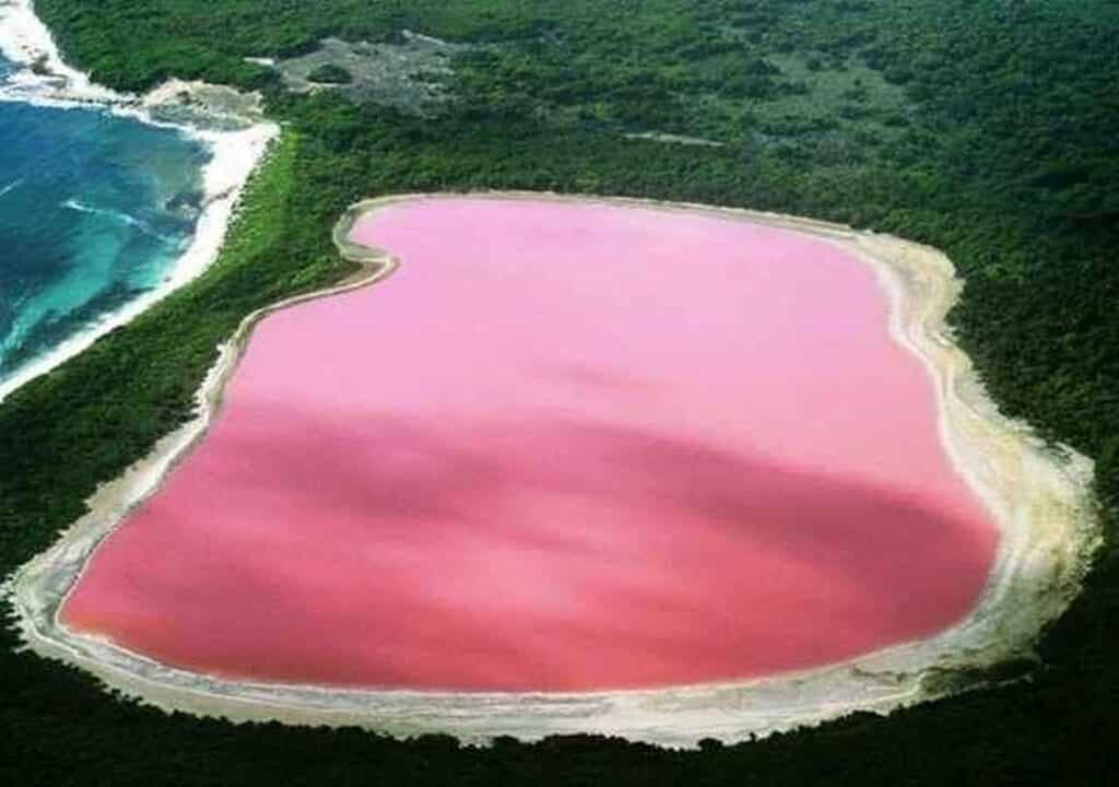 Lac rose emblématique, entouré de sable et de bois, dont la couleur provient d'un micro-organisme