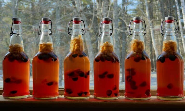 Le Kombucha, la boisson santé et tendance à base de thé