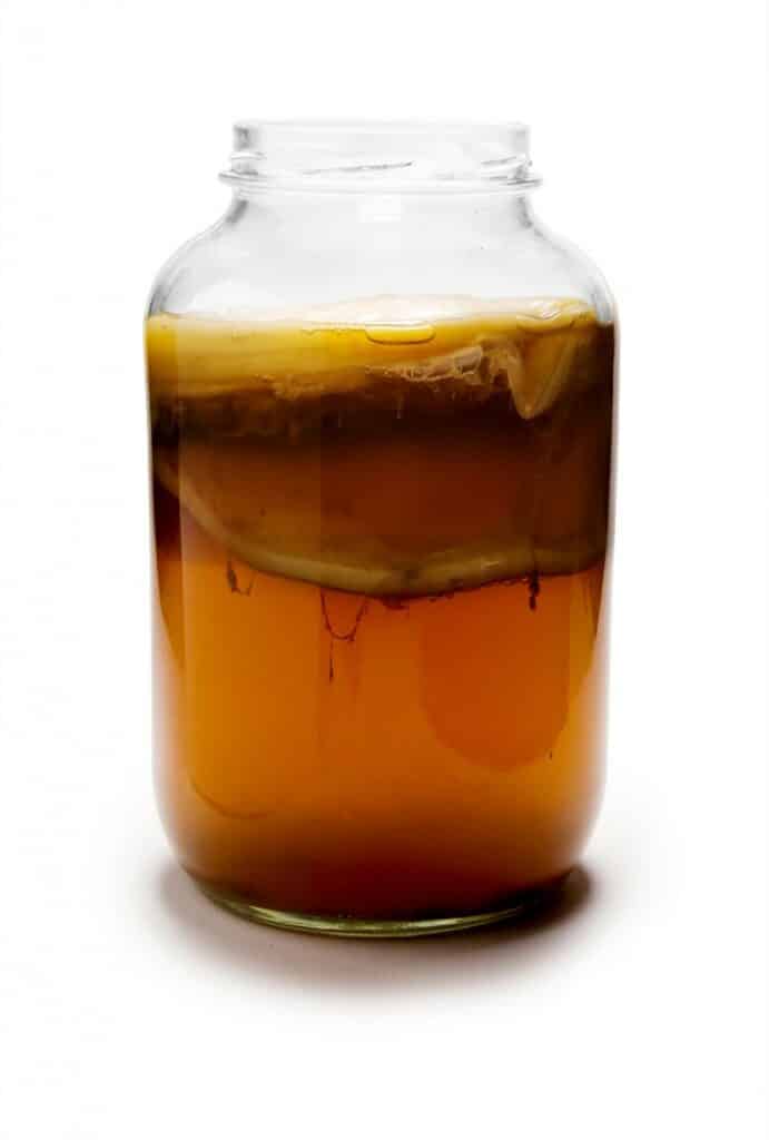 La SCOBY qui se forme au-dessus de la boisson