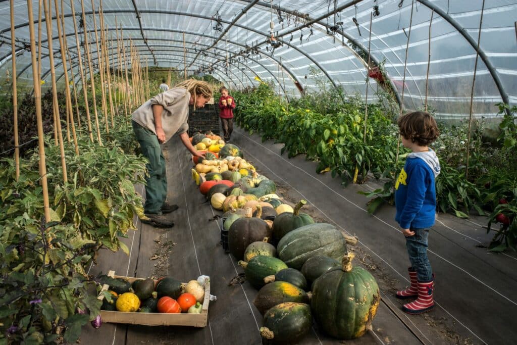 Nourri et logé gratuitement à l'étranger contre de petites tâches au sein d'une exploitation agricole bio