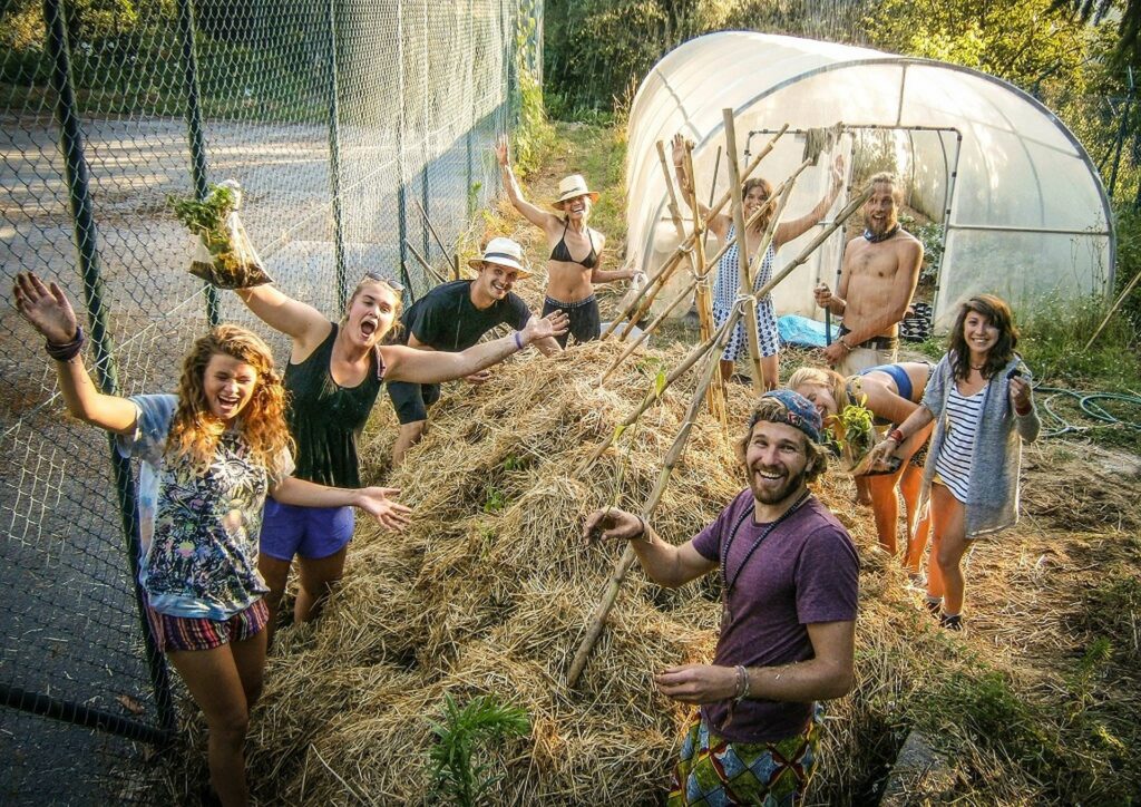 Vivre et apprendre dans des fermes biologiques