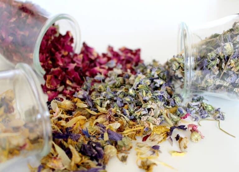 La naturopathie est le remède naturel pour vos maux