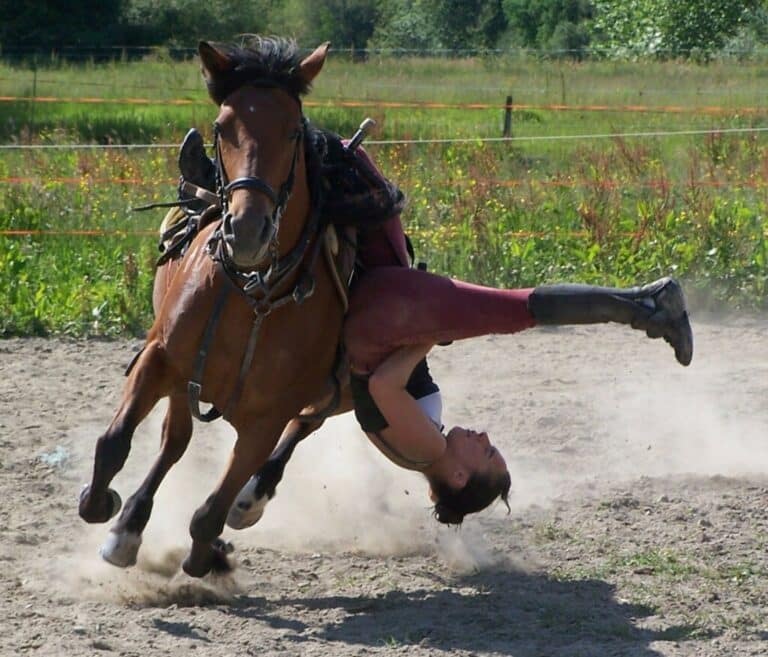 L’art fascinant de l’acrobatie à cheval : plongée dans la voltige équestre
