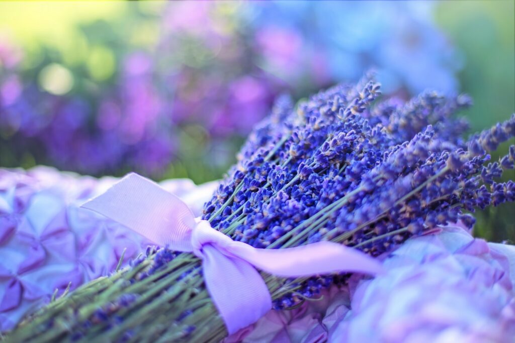 Plante utilisée pour l'aromathérapie, comme la lavande