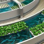 Cultiver des légumes frais à l'aide d'un écosystème aquaponique