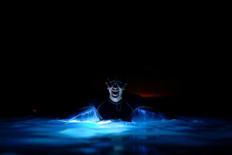 Vivez une plongée nocturne pour observer la bioluminescence marine