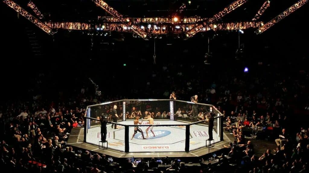 Combat de MMA intense entre deux combattants dans une cage