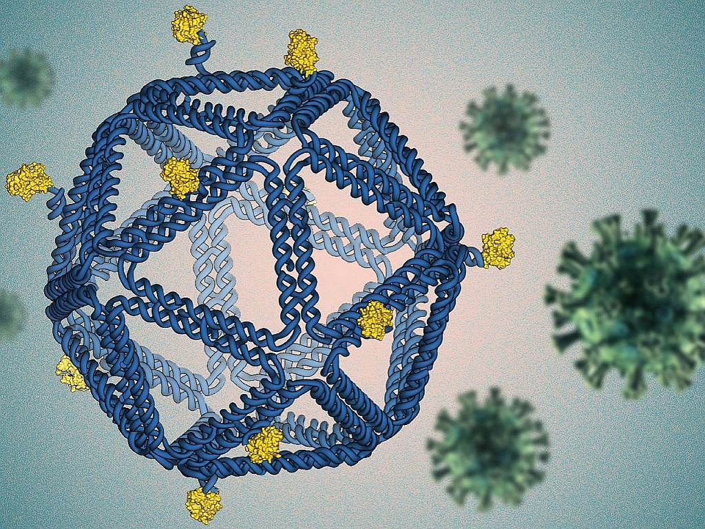 Recherche en médecine basée sur les principes de l’origami