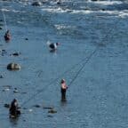Pêcheurs pratiquant le tenkara en rivière