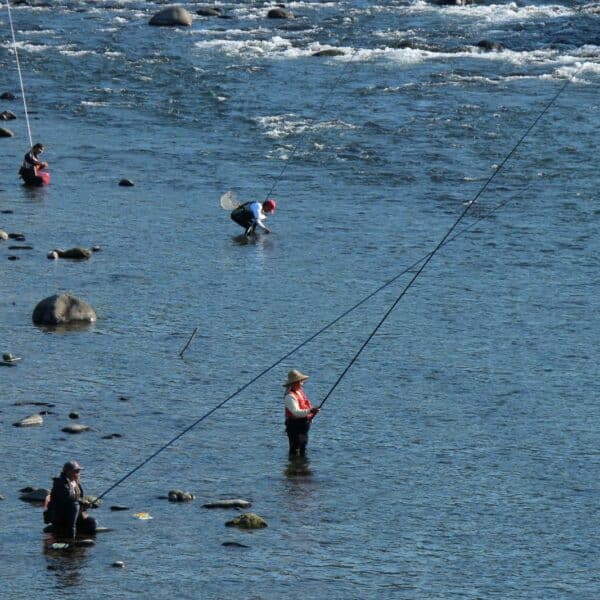 Pêcheurs pratiquant le tenkara en rivière