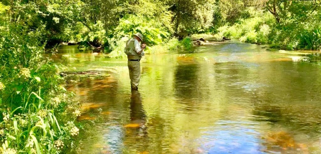 Petite rivière idéale pour le tenkara