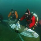 Plongeurs effectuant du repassage extrême sous l'eau, planche fixée au fond marin